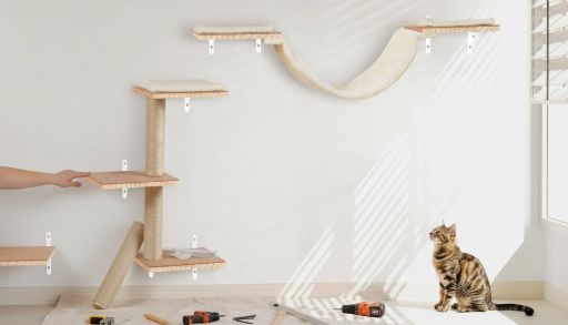 The 2026 Trend: Why Feline Vertical Enrichment is a Must