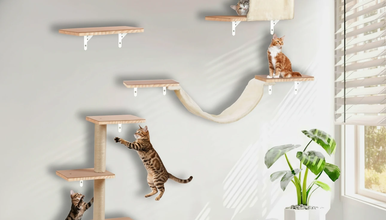 Why Standard Shelves Fail (And How We Fixed It)